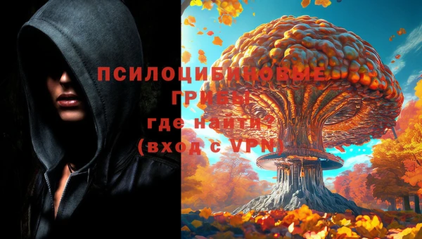 бутират Дмитриев