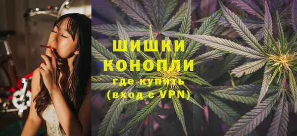 шишки Алзамай