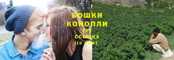 шишки Алзамай