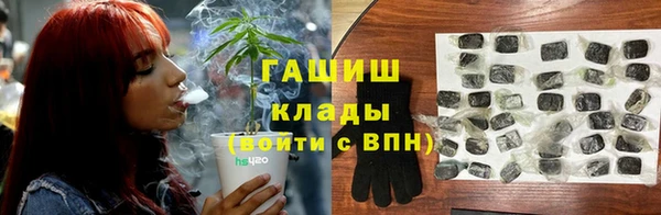 шишки Алзамай