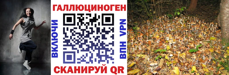 Купить  Талица  Галлюциногенные грибы мухоморы 
