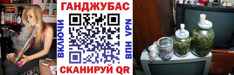 Купить где  Талица  Каннабис сатива 
